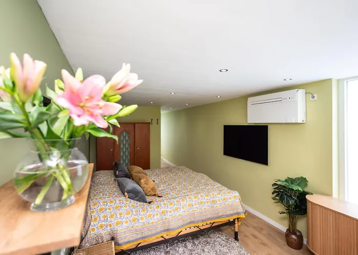 Het Tulpenkwartier *